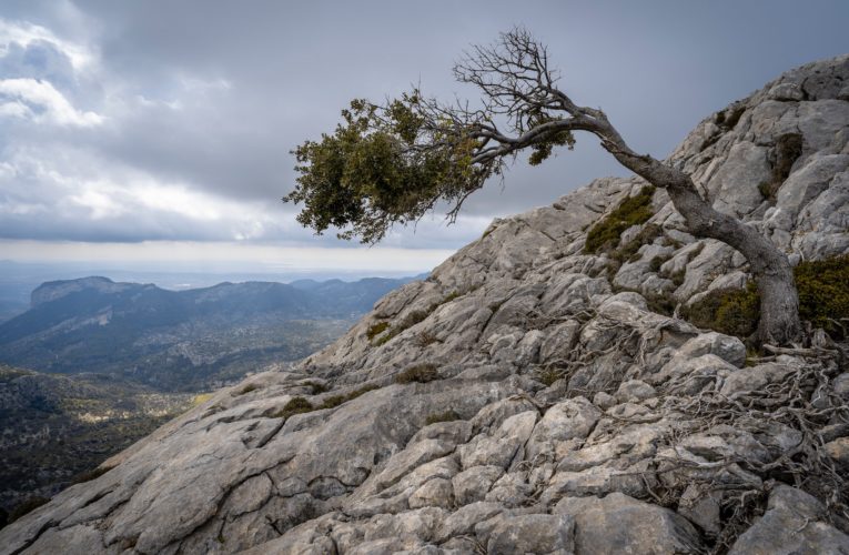 London: The Importance of Resilience in Overcoming Trauma